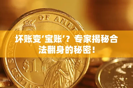 武汉坏账变‘宝账’？专家揭秘合法翻身的秘密！
