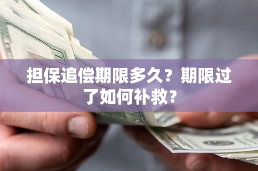 武汉担保追偿期限多久？期限过了如何补救？
