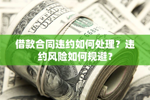 武汉借款合同违约如何处理？违约风险如何规避？