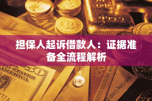 武汉担保人起诉借款人：证据准备全流程解析