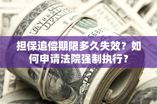 武汉担保追偿期限多久失效？如何申请法院强制执行？
