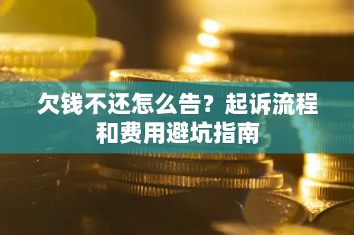 武汉欠钱不还怎么告?起诉流程和费用避坑指南 武汉欠钱不还怎么告?起诉流程和费用避坑指南